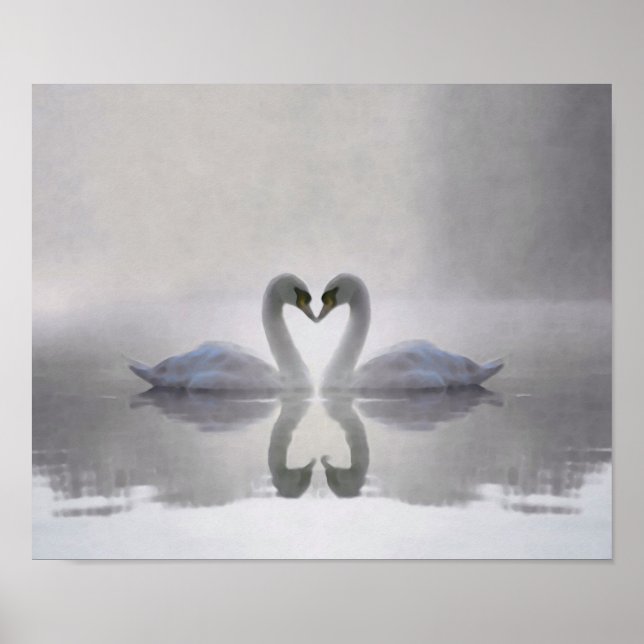 Póster Swans in Love ~ Poster (Frente)