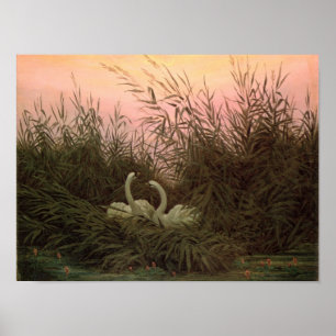 Póster Swans in the Reeds, c.1820
