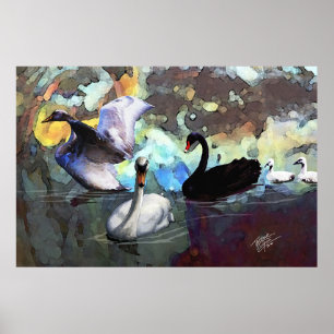 Póster Swans Natación