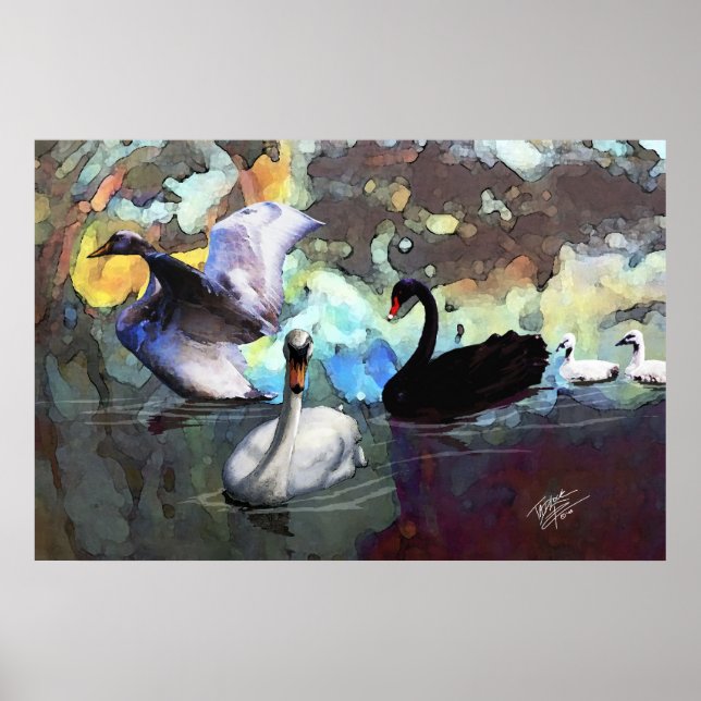Póster Swans Natación (Frente)
