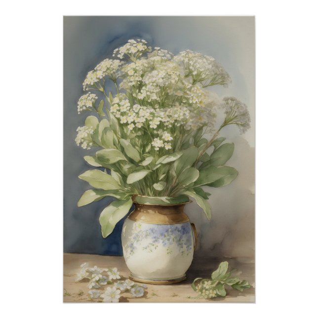 Póster Sweet Alyssum (Anverso)