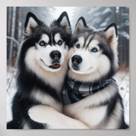 Póster Sweet Huskies