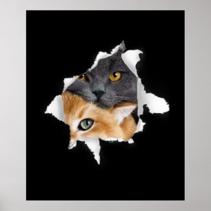 Póster Sweet Kitten Couple   Gracioso regalo de Cat Lover
