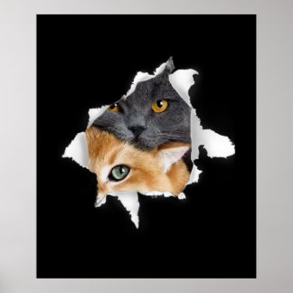 Póster Sweet Kitten Couple | Gracioso regalo de Cat Lover