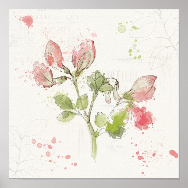Póster Sweet Pea watercolor (Frente)