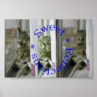 Póster Sweet Reflections