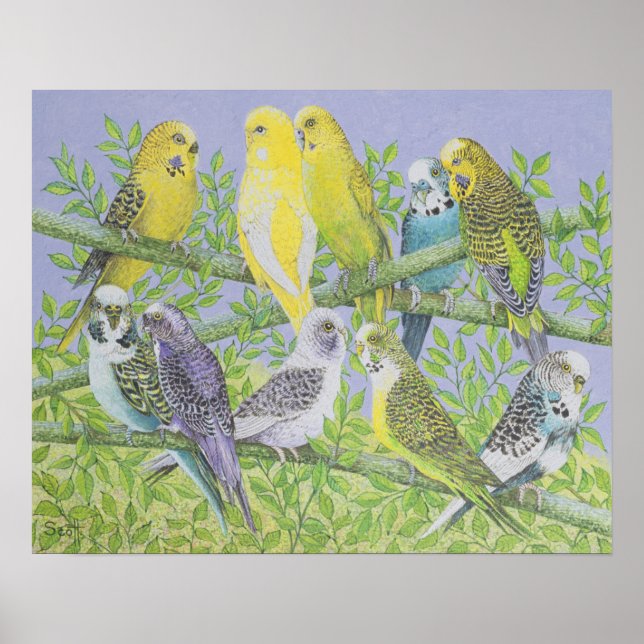 Póster Sweet Talking (Frente)