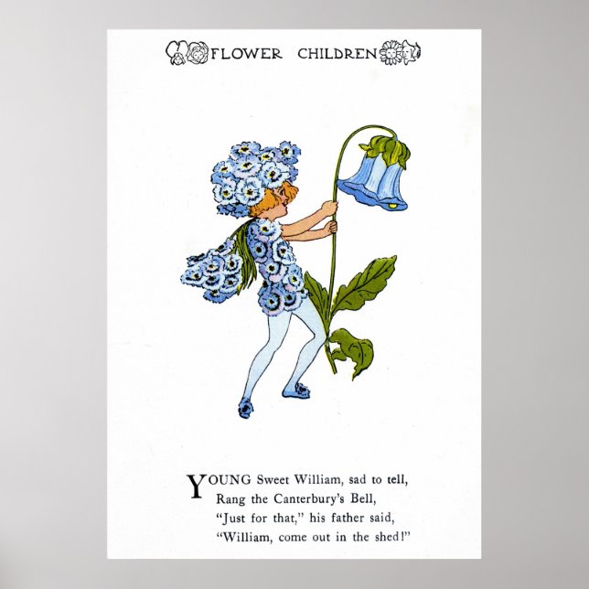 Póster Sweet William (Frente)