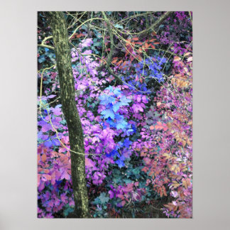 Póster Sweets of Spring