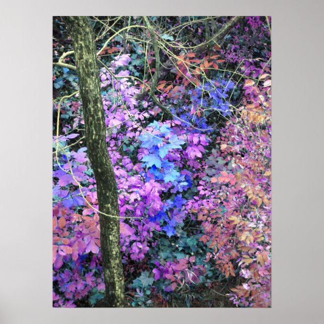 Póster Sweets of Spring (Frente)