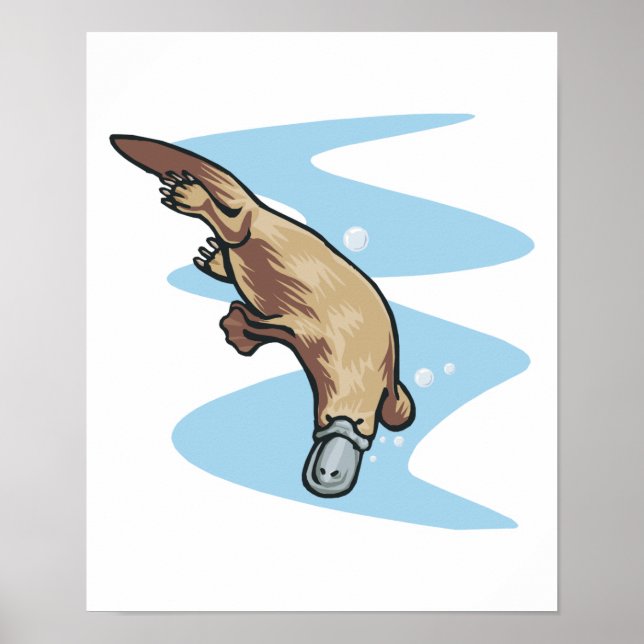 Póster swimming duckbilled platypus (Frente)