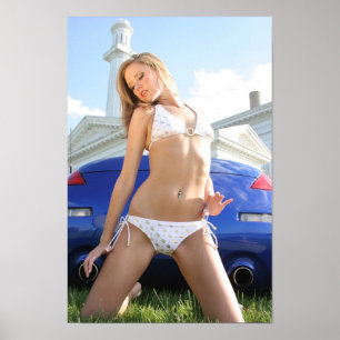 Póster Swimsuit Chick