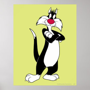 Póster SYLVESTER™ Nariz Roja
