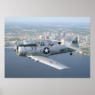 Póster T-6 Poster Texano