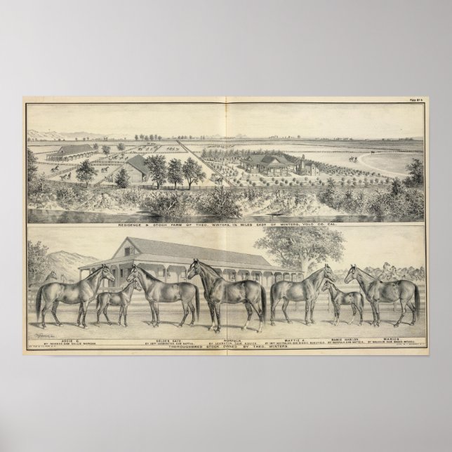 Póster T Winters farm (Frente)