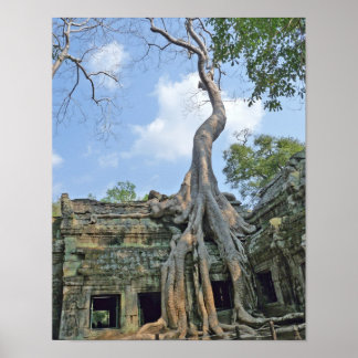 Póster Ta Prohm