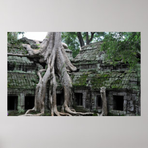 Póster ta prohm temple in cambodia
