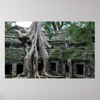 Póster ta prohm temple  in cambodia