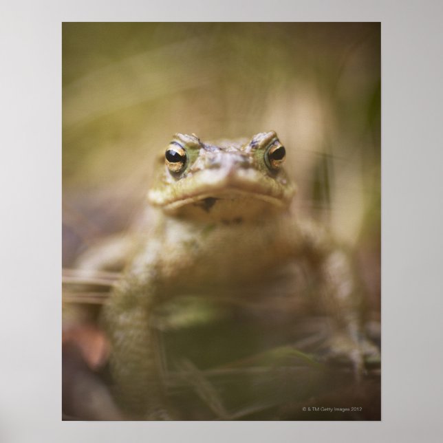 Póster Táada del día (Frente)