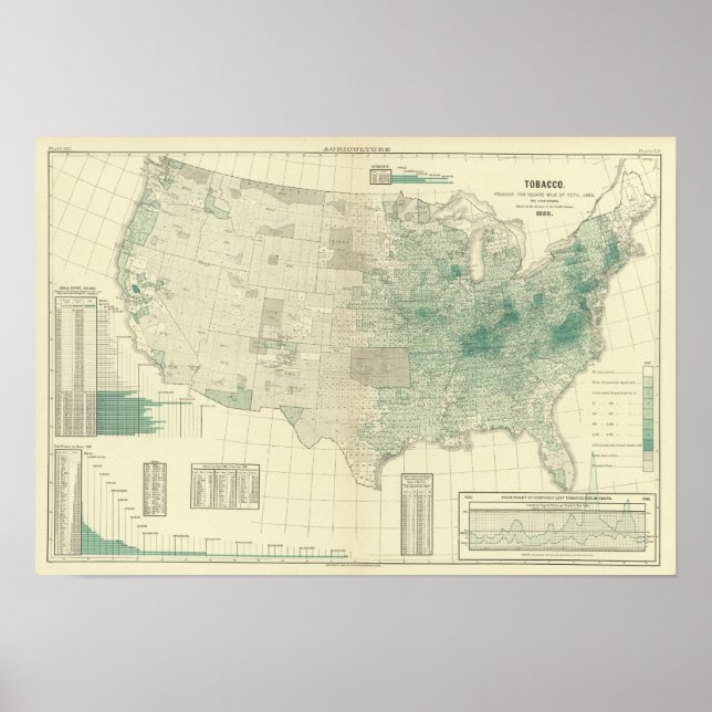 Póster Tabaco (Frente)