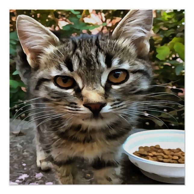 Póster Tabby Cat Kitten Haciendo Contacto Ocular (Anverso)