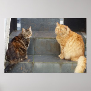 Póster Tabitha Twitchit & Mungojerrie