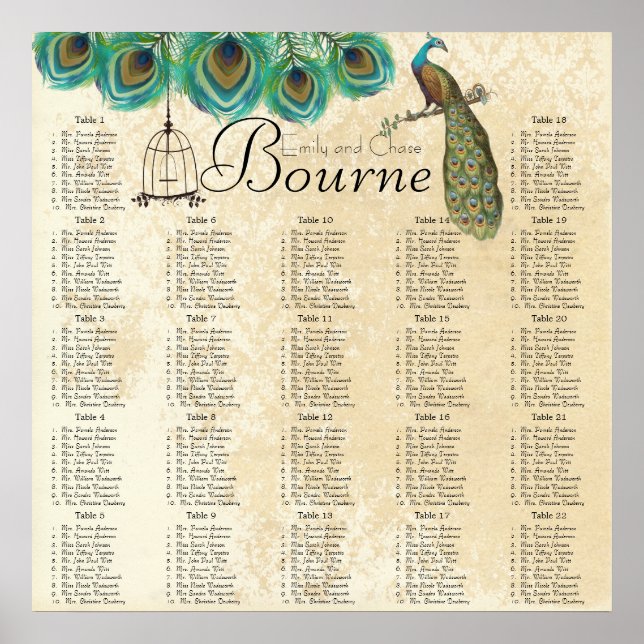 Póster Tabla de asientos de recepción de jaulas para pája (Frente)