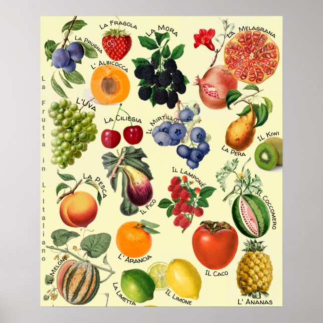 Póster Tabla de frutas italianas y su lenguaje  (Frente)