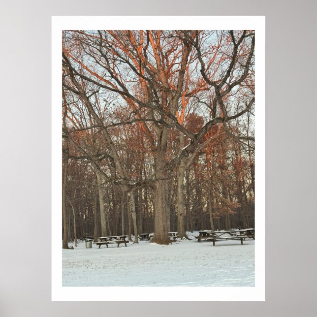 Póster Tablas de picnic durante el Poster de invierno (Frente)