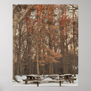 Póster Tablas de picnic durante el Poster de invierno