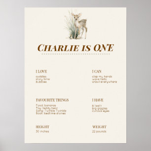 Póster Tablero de hito del primer cumpleaños del bosque