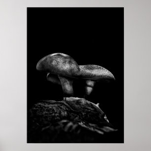 Póster Taburetes En Una Pista No 5