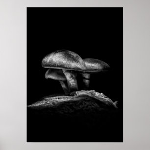 Póster Taburetes En Una Ruta No 3