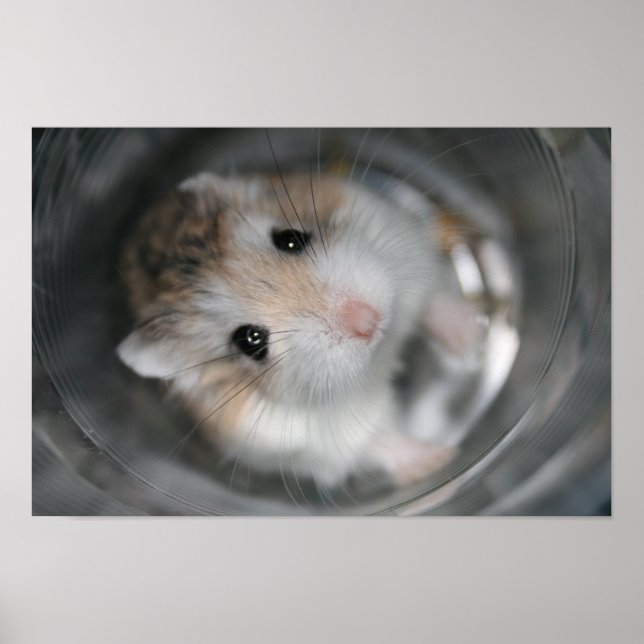 Póster Tac stare - Poster (Frente)