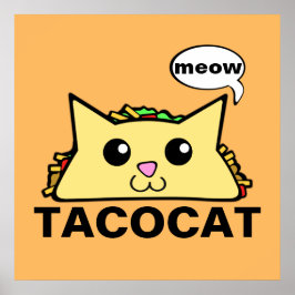 Póster Taco Cat