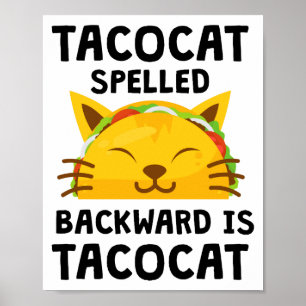 Póster Taco Cat deletreado al revés es Taco Cat cita dive