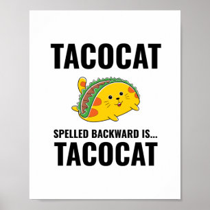 Póster Tacocat chistoso tacos comida mexicana