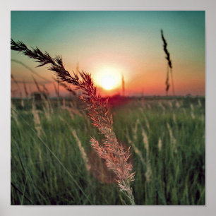 Póster Tacto del polvo mágico de la onza 16