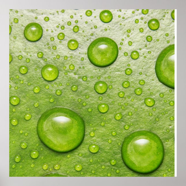 Póster "Tacto suave, gota silenciosa" (Frente)