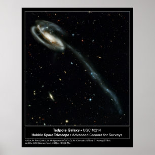 Póster Tadpole Galaxy Hubble Telescope Foto