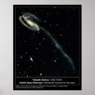Póster Tadpole Galaxy Hubble Telescope Foto