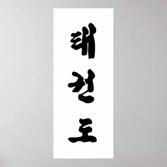 Póster Tae Kwon Do Canvas print (Frente)