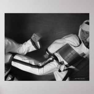 Póster Tae Kwon Do Match