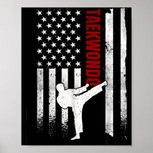 Póster Taekwondo Bandera Americana Distorsionada Usa Patr
