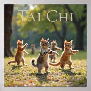 Póster Tai Chi Cats