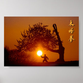 Póster Taichi (taiji), couchant arbre cerisier soleil