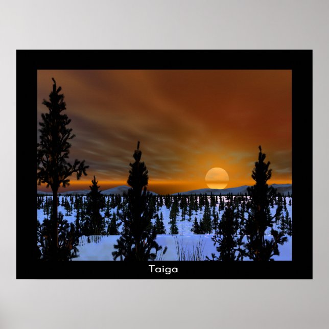 Póster Taiga (Frente)