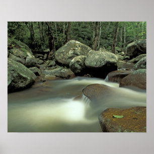 Póster Tailandia, isla de Kohsamui, paisaje de selva trop