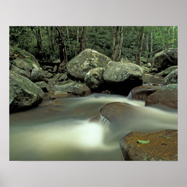 Póster Tailandia, la isla Kohsamui, el paisaje de la selv (Frente)