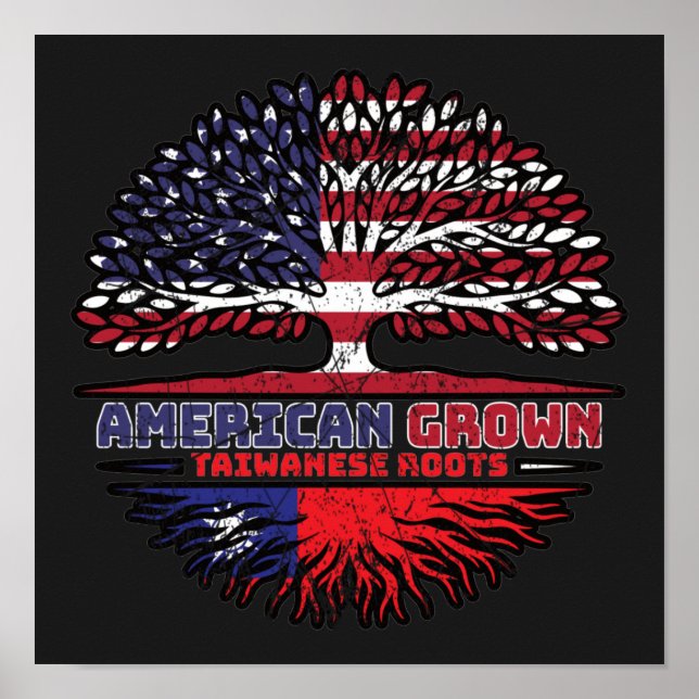 Póster Taiwán Taiwán Estados Unidos Estados Unidos Estado (Frente)